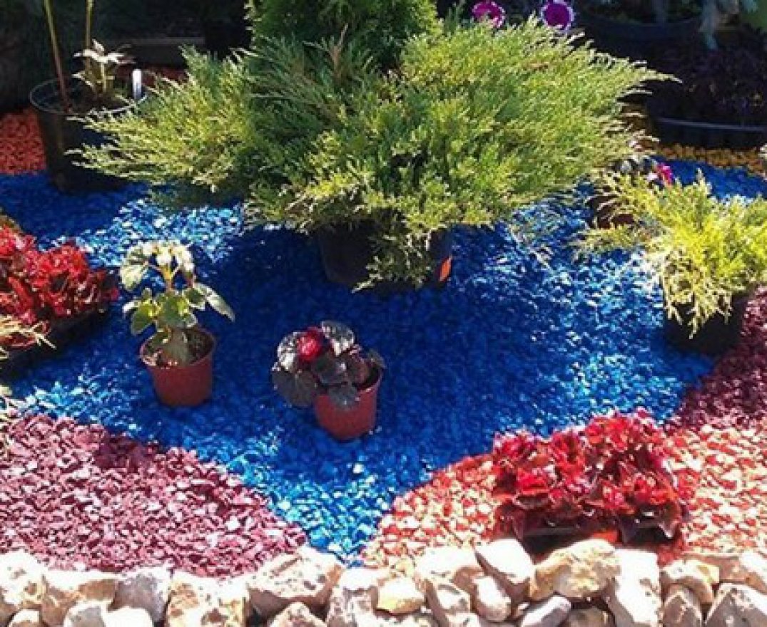 Щепа декоративная синяя - вид 4